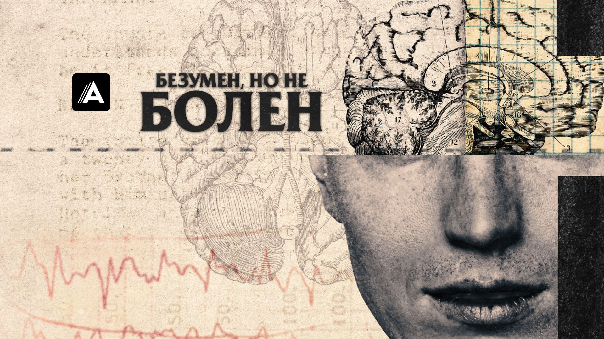 Безумен, но не болен